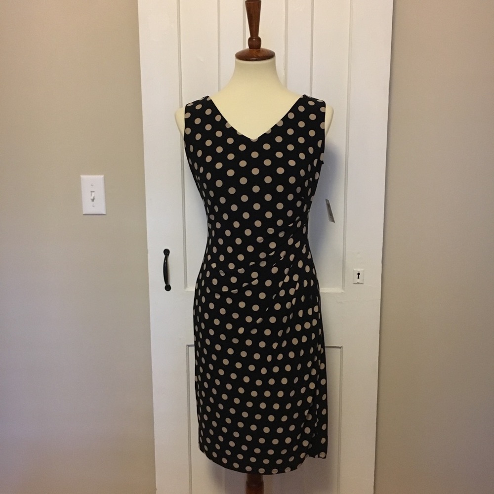NWT v-neck polka dot side ranch dress